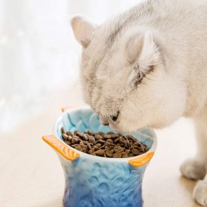 Ceramic Raised Cat Food Bowl