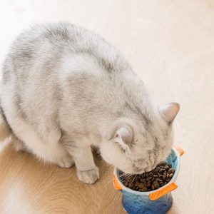 Ceramic Raised Cat Food Bowl
