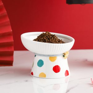 Ceramic Bowl for cat