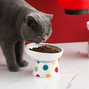Ceramic Bowl for cat